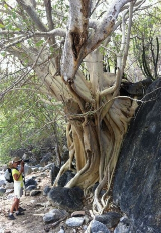Excursion de senderismo